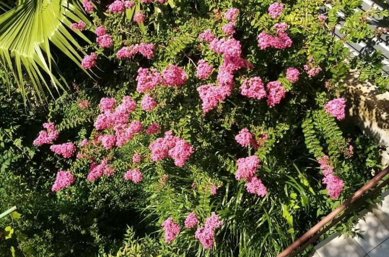 Изображение Изображение гостиницы &quot;Гостевой дом «Мистраль»&quot; #5 #5