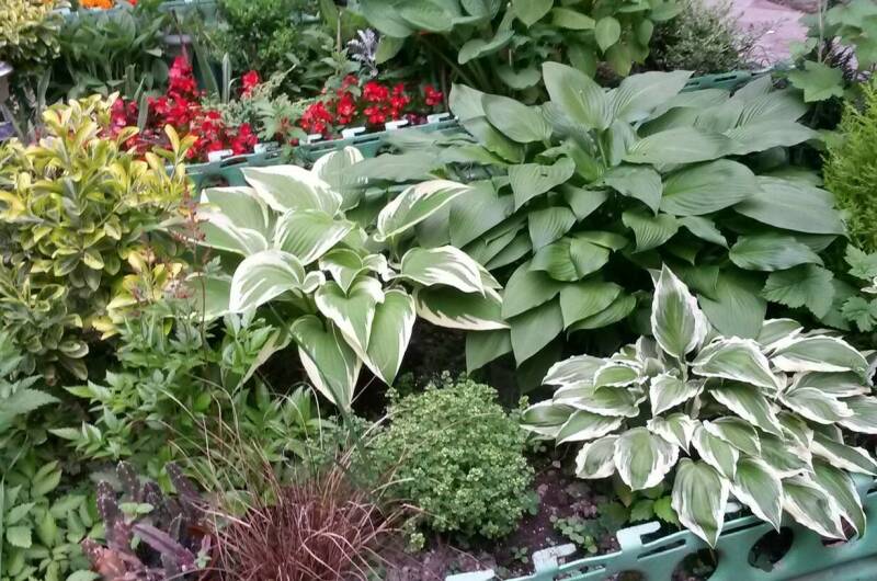 Изображение Изображение отеля / гостиницы "Гостевой дом «Визит на Кольцевой»" #11 #9