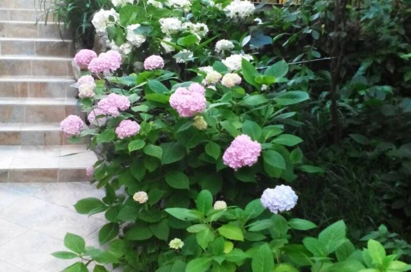 Изображение Изображение гостиницы &quot;Частный сектор «Дубрава»&quot; #2 #2