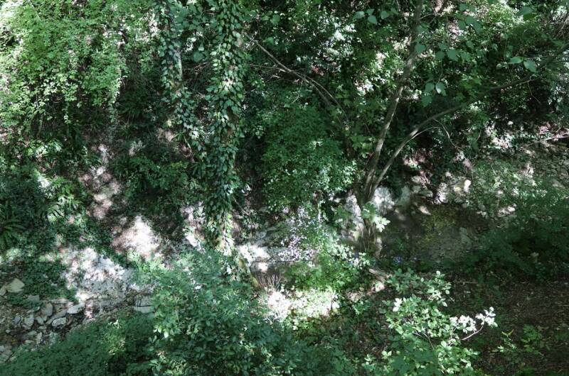 Изображение Изображение гостиницы &quot;Частный сектор «Дубрава»&quot; #4 #4