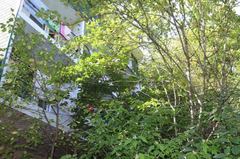 Изображение Изображение отеля / гостиницы "Частный сектор «Дубрава»" #10 #8