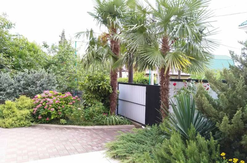 Изображение Изображение гостиницы &quot;Гостевой дом «В гостях у мамы Оли»&quot; #3 #3