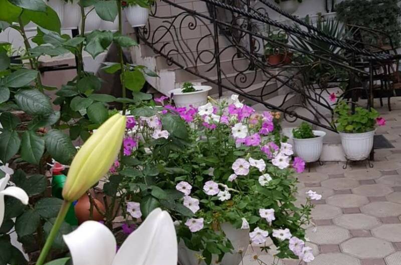 Изображение Изображение гостиницы "Частный гостевой дом «Жемчужина взморья»" #4 #4