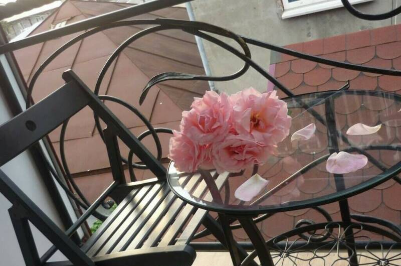 Изображение Изображение гостиницы "Частный гостевой дом «Жемчужина взморья»" #5 #5