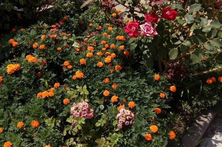 Изображение Изображение гостиницы "Частный сектор «Людмила» на Тонком мысе" #5 #5