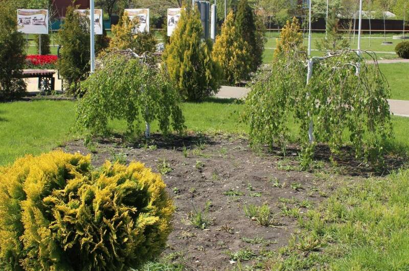 Изображение Изображение гостиницы "Частный сектор «Людмила» на Тонком мысе" #7 #7