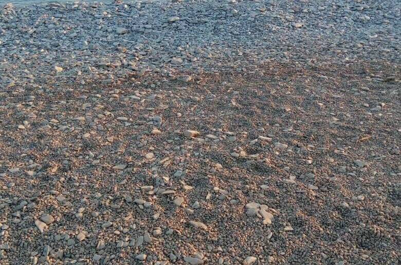 Изображение Изображение гостиницы "Частный сектор «Людмила» на Тонком мысе" #8 #8