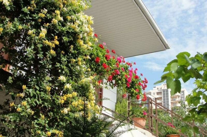 Изображение Изображение гостиницы "Гостевой дом «Аир»" #3 #3