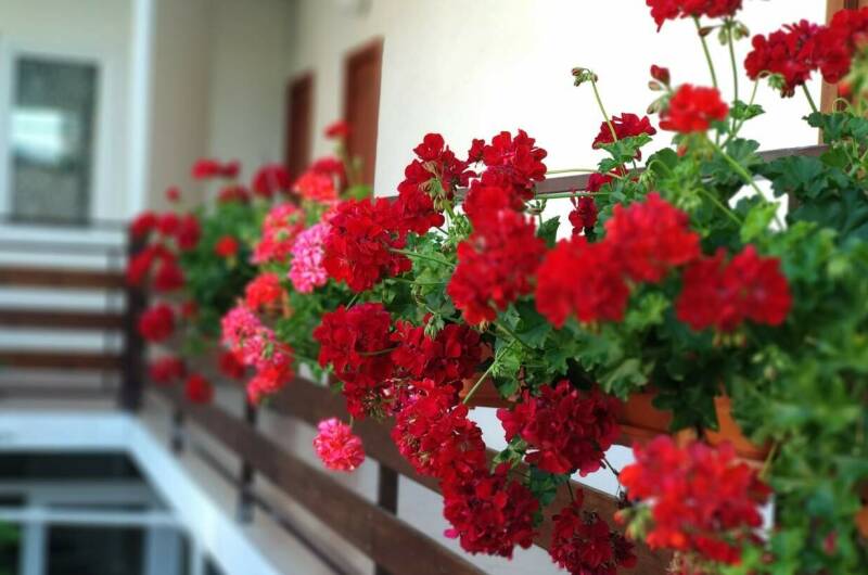 Изображение Изображение отеля / гостиницы "Гостевой дом «Аир»" #11 #9