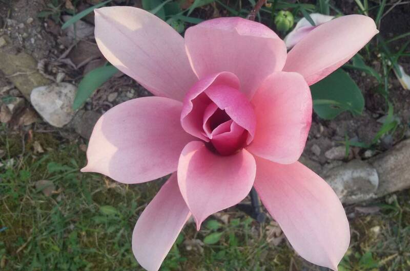 Изображение Изображение гостиницы &quot;Частное домовладение «Дионис»&quot; #5 #5