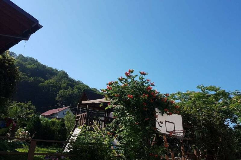 Изображение Изображение гостиницы &quot;Частное домовладение «Дионис»&quot; #8 #8