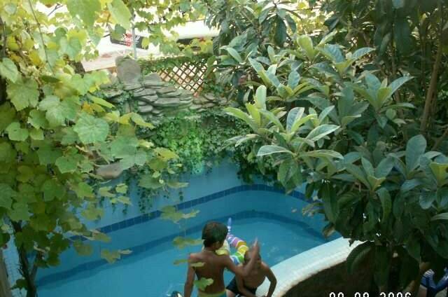 Изображение Изображение гостиницы "Частный сектор «Adler Home»" #5 #5