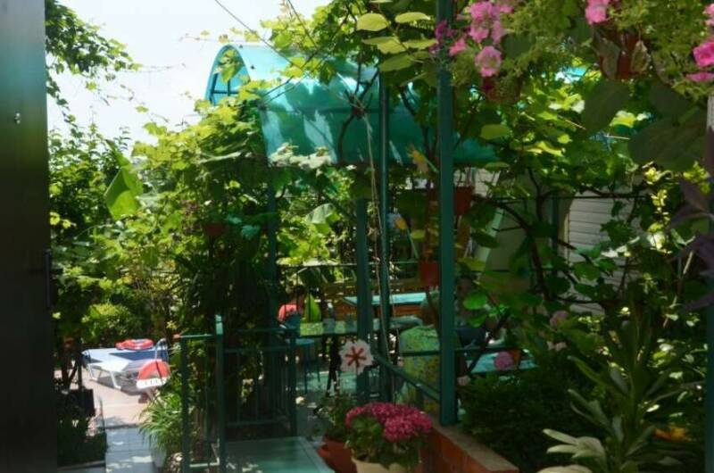 Изображение Изображение гостиницы &quot;Гостевой дом «Татьянин День»&quot; #4 #4