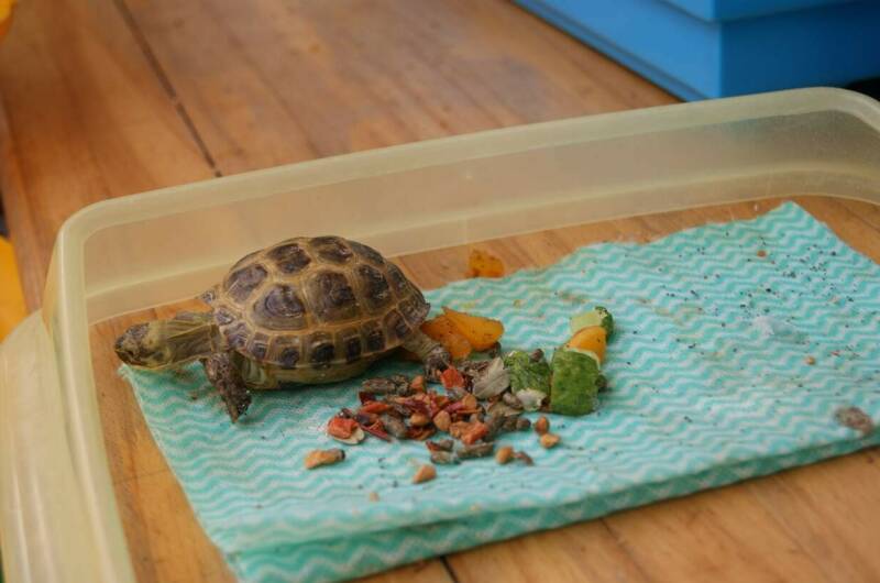 Изображение Изображение гостиницы &quot;Отель «Арго»&quot; #6 #6