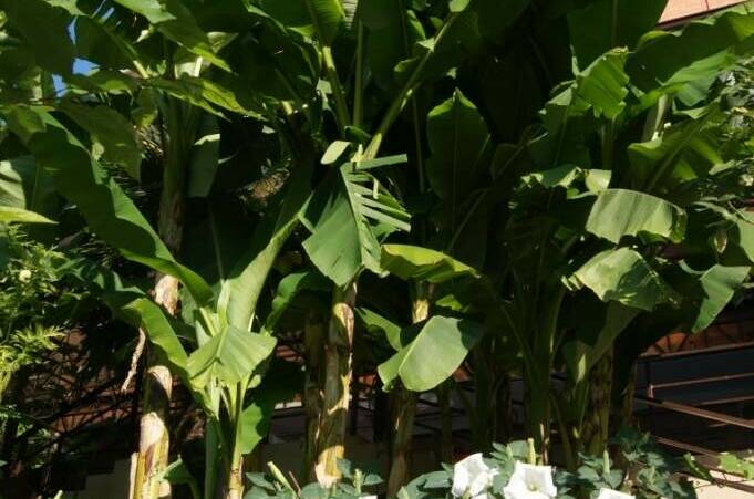 Изображение Изображение отеля / гостиницы "Отель «Арго»" #11 #9