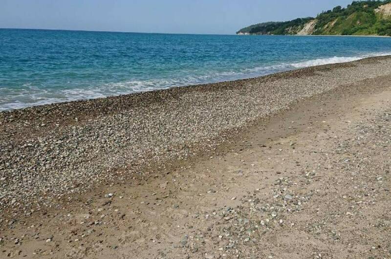 Изображение Изображение гостиницы "Гостевой дом «Альха Авидзба»" #4 #4