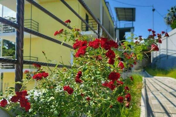 Изображение Изображение гостиницы "Мини-отель «Лимончелло»" #8 #8