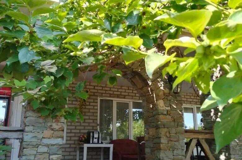 Изображение Изображение гостиницы &quot;Гостевой дом «Ботаника»&quot; #2 #2