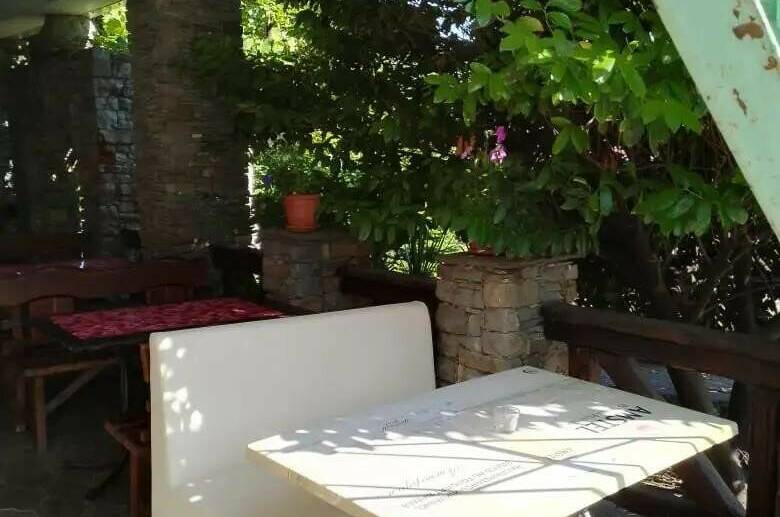 Изображение Изображение гостиницы &quot;Гостевой дом «Ботаника»&quot; #5 #5