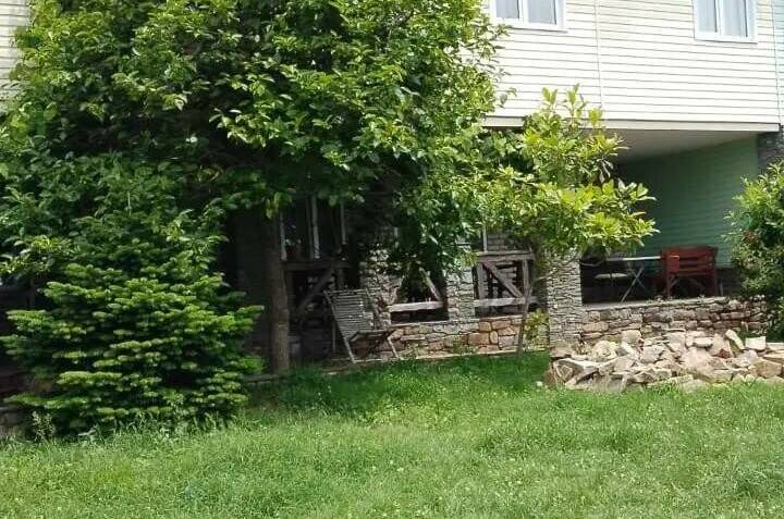 Изображение Изображение гостиницы &quot;Гостевой дом «Ботаника»&quot; #7 #7