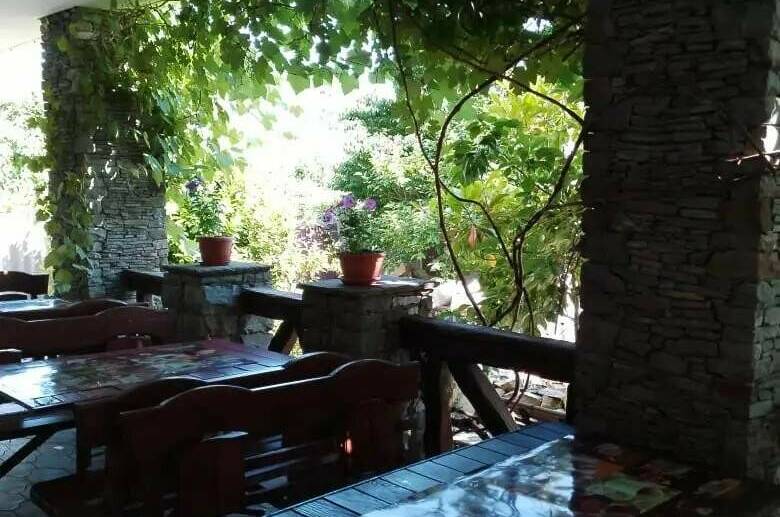 Изображение Изображение гостиницы &quot;Гостевой дом «Ботаника»&quot; #8 #8