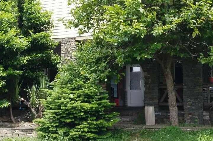 Изображение Изображение отеля / гостиницы "Гостевой дом «Ботаника»" #10 #8