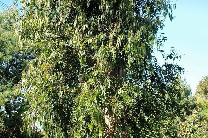 Изображение Изображение гостиницы "Гостевой дом «На Берегу»" #3 #3