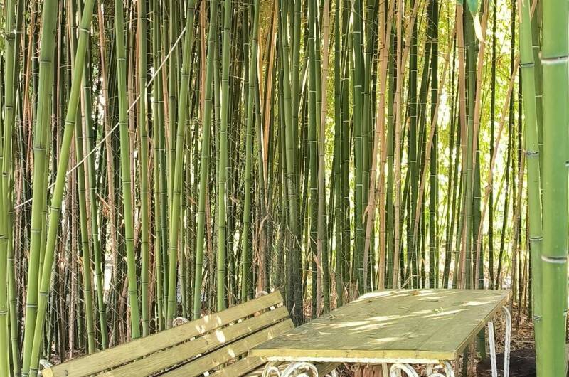 Изображение Изображение гостиницы "Гостевой дом «На Берегу»" #4 #4