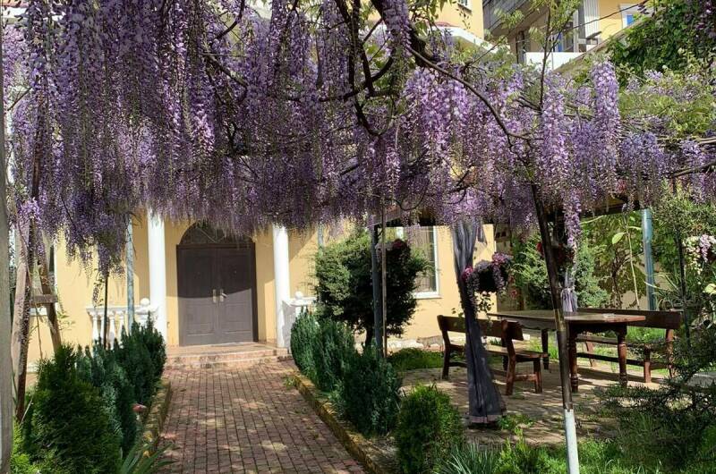 Изображение Изображение гостиницы "Гостевой дом «Ева»" #8 #8