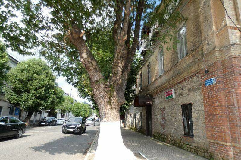 Изображение Изображение гостиницы "Мини-отель «Сухум Авеню»" #2 #2