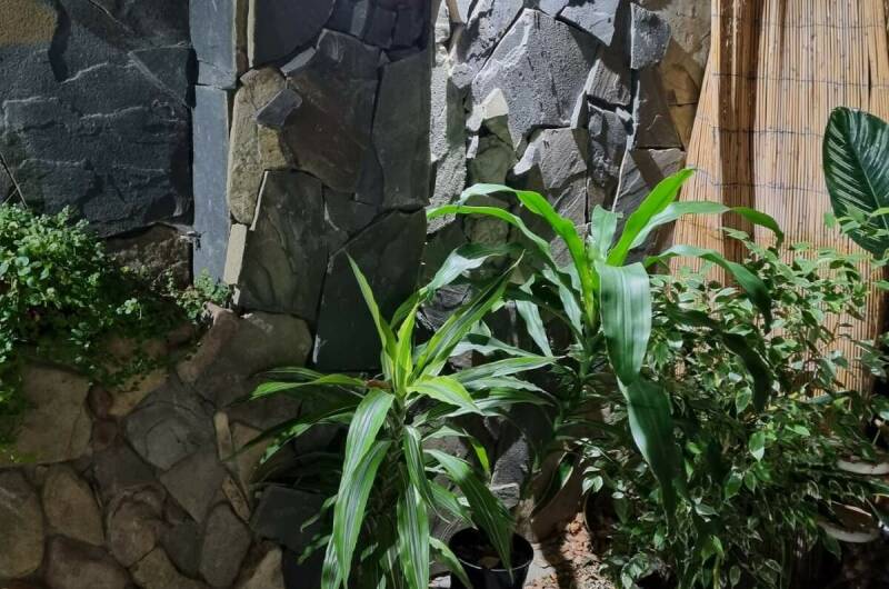 Изображение Изображение гостиницы "Гостевой дом «Maremonte»" #7 #7