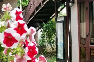 Изображение отеля / гостиницы "Гостевой дом «Наш дом»"