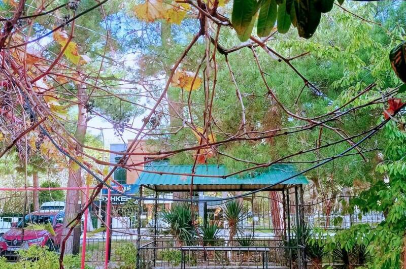 Изображение Изображение гостиницы &quot;Гостевой дом «Виктория»&quot; #7 #7