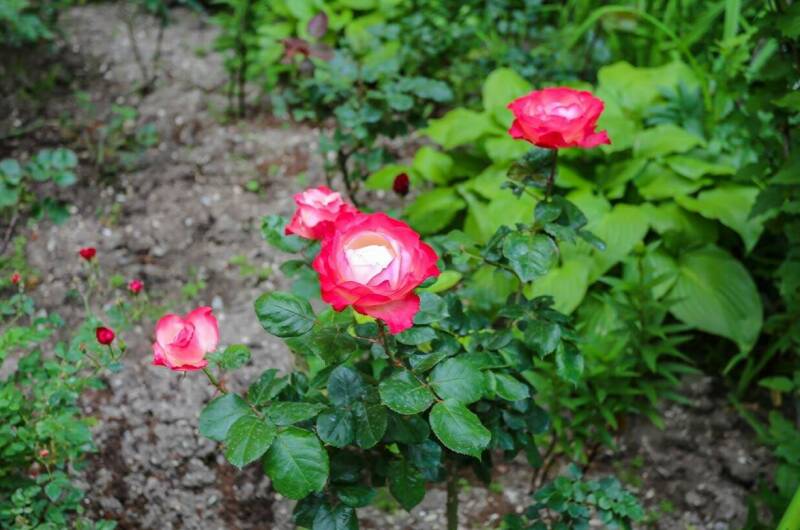 Изображение Изображение гостиницы "Гостевой дом «Натали»" #2 #2