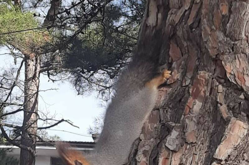 Изображение Изображение отеля / гостиницы "Гостевой дом «Семья»" #10 #8