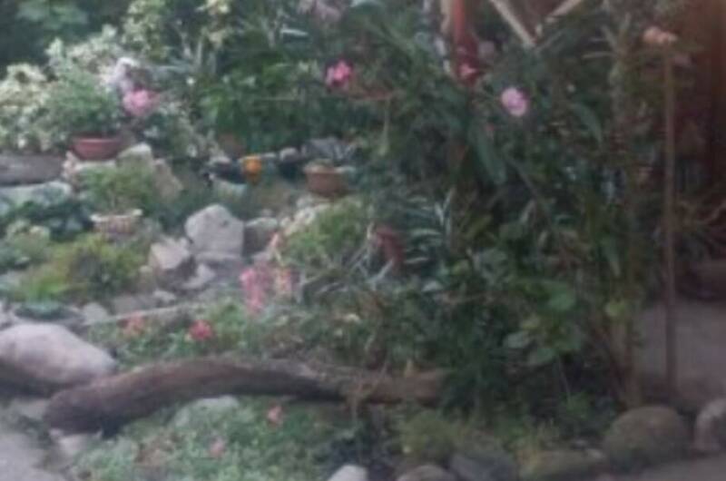 Изображение Изображение гостиницы &quot;Гостевой дом «У моря»&quot; #6 #6