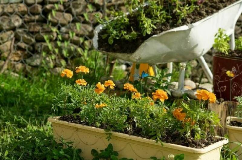 Изображение Изображение гостиницы "Гостевой дом «Batterfly»" #5 #5