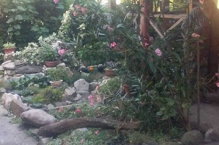 Изображение Изображение гостиницы &quot;Гостевой дом «У моря»&quot; #8 #8