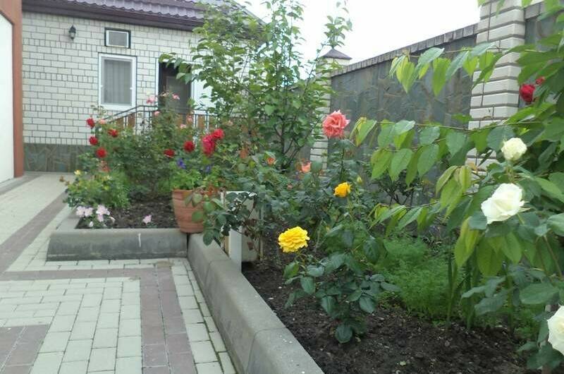 Изображение Изображение отеля / гостиницы "Отель «Вероника»" #11 #9