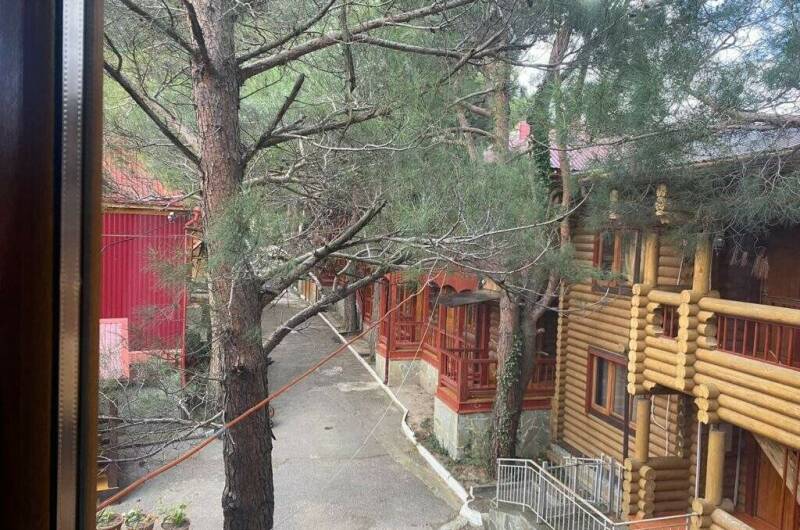 Изображение Изображение гостиницы "Гостевой дом «Сосновый бор»" #3 #3