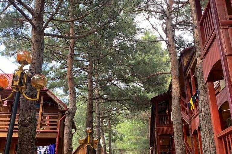 Изображение Изображение гостиницы "Гостевой дом «Сосновый бор»" #7 #7