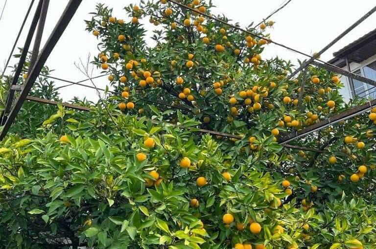 Изображение Изображение гостиницы "Гостевой дом «У моря»" #4 #4