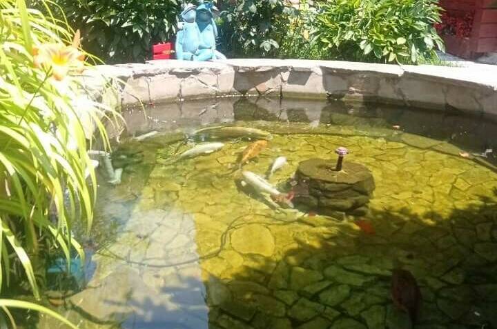 Изображение Изображение квартиры &quot;Деревянный коттедж под ключ (сруб)&quot; #6 #6