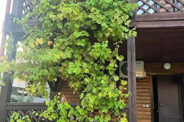 Изображение Изображение гостиницы "Гостевой дом «Ежевика»" #7 #7