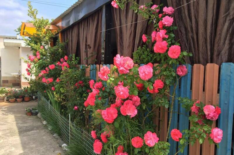 Изображение Изображение гостиницы "Гостевой дом «Аделина»" #6 #6