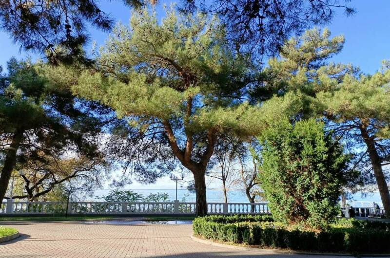 Изображение Изображение гостиницы &quot;Гостевой дом «Тургенев»&quot; #5 #5