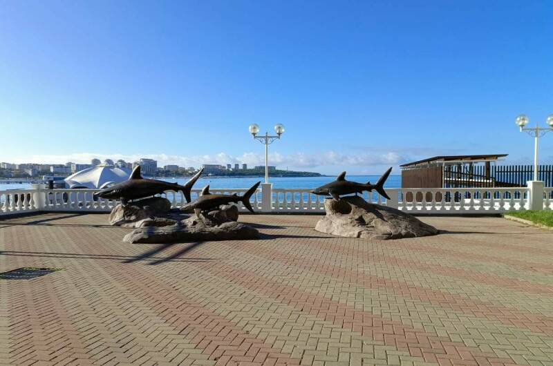 Изображение Изображение отеля / гостиницы "Гостевой дом «Тургенев»" #10 #8