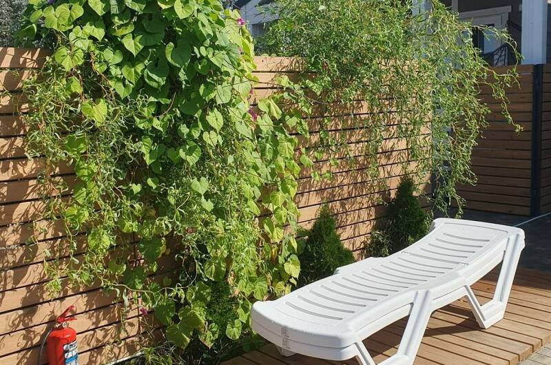 Изображение Изображение гостиницы &quot;Гостевой дом «У моря»&quot; #8 #8