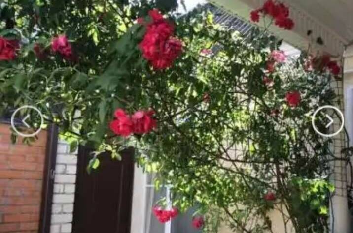 Изображение Изображение гостиницы &quot;Гостевой дом на Степной 11&quot; #5 #5