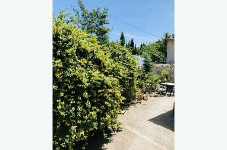 Изображение Изображение гостиницы &quot;Гостевой дом «Астромарин»&quot; #4 #4